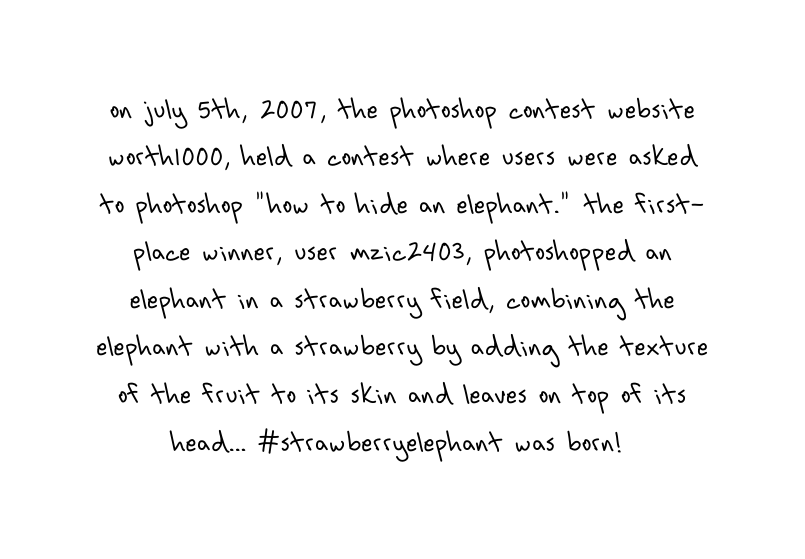 On July 5th 2007 the Photoshop contest website worth1000 held a contest where users were asked to photoshop how to hide an elephant The first place winner user mzic2403 photoshopped an elephant in a strawberry field combining the elephant with a strawberry by adding the texture of the fruit to its skin and leaves on top of its head Strawberryelephant was born